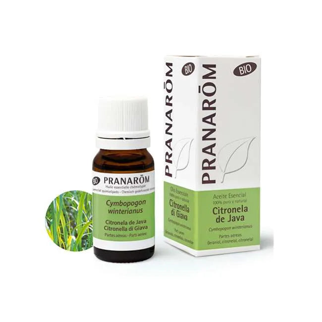 Citronella di Giava Pranarom - 10ml