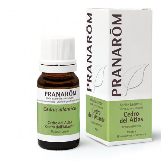 Cedro dell'Atlante Pranarom - 10ml