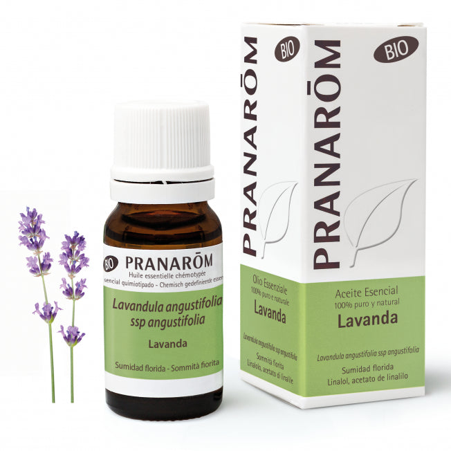 Kit Premium Experience Pranarom