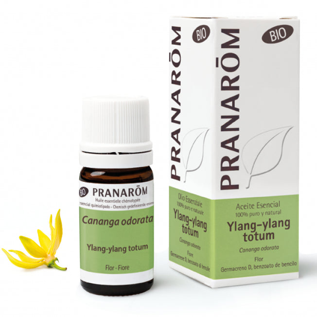 Kit Premium Experience Pranarom